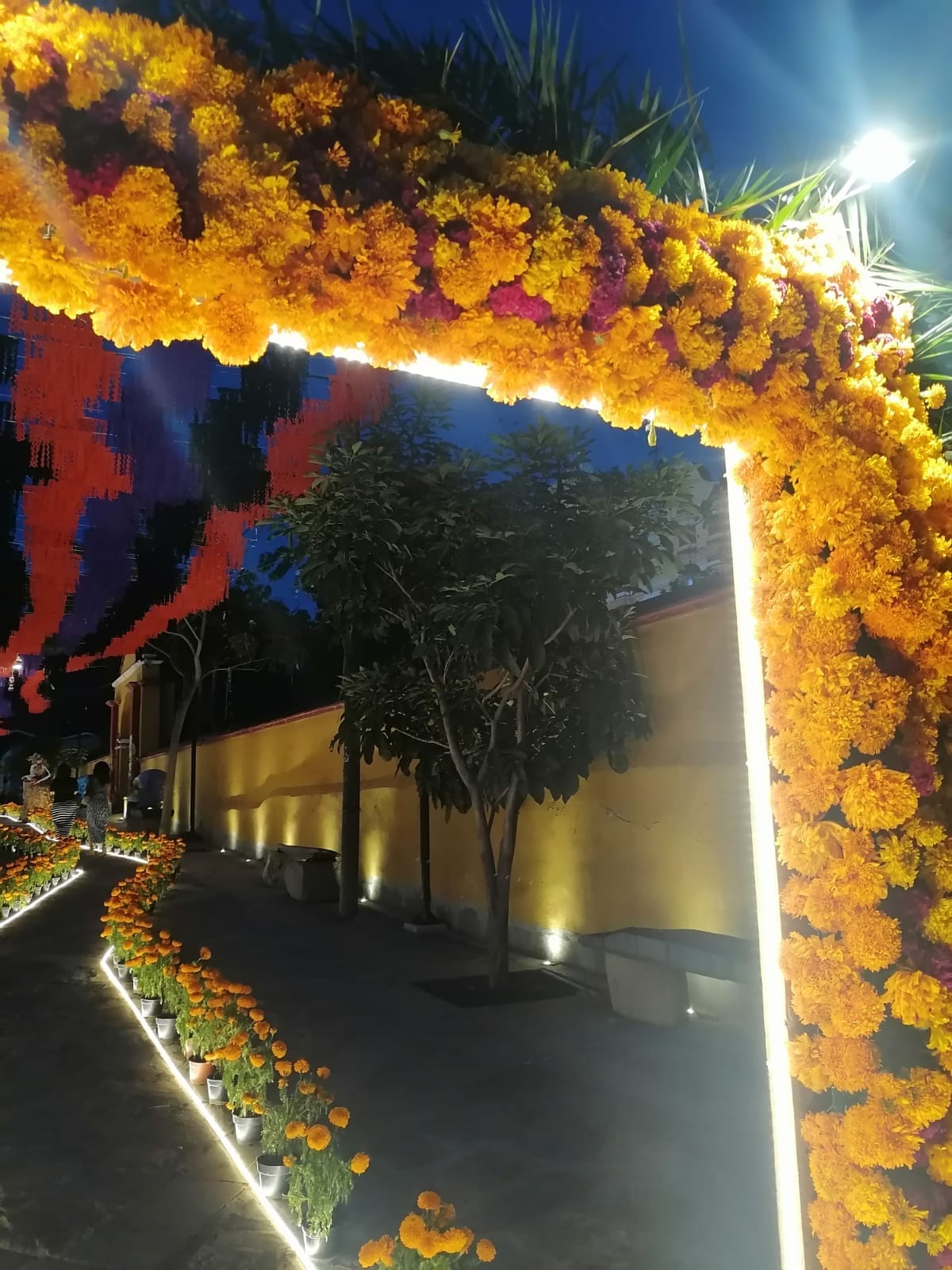 PHOTO-2025-11-01-11-07-02 Las almas chinantecas / ERNESTO REYES