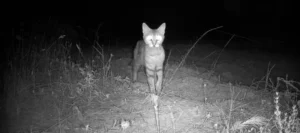 Portada-causa-natura-e1762145656570-300x133 Home