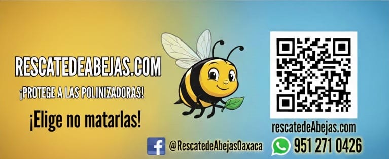 WhatsApp-Image-2025-11-11-at-7.59.50-PM-1 Home