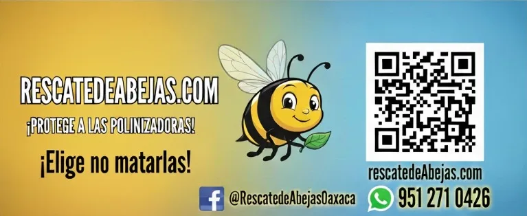 WhatsApp-Image-2025-11-11-at-7.59.50-PM-1 Home